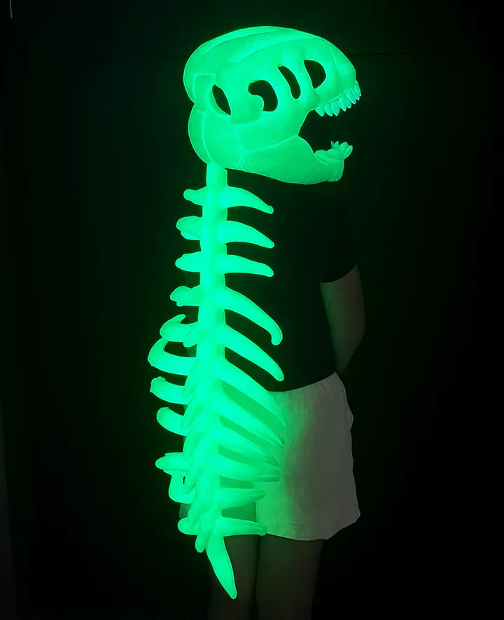 Dinosaur Skeleton